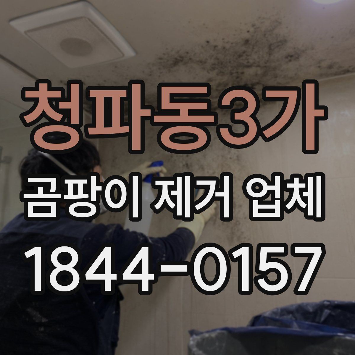 청파동3가 곰팡이 제거 업체 상담에서 자주 나오는 오해
