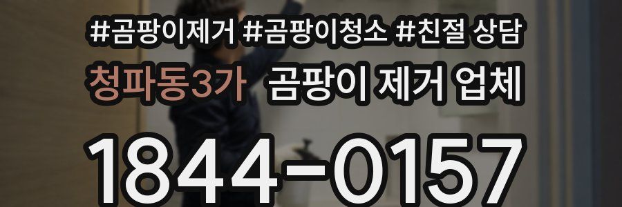 청파동3가 곰팡이 제거 업체