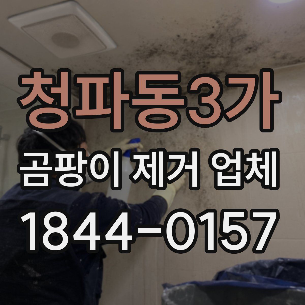 청파동3가 곰팡이 제거 업체