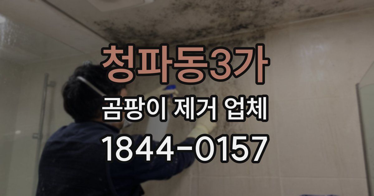 청파동3가 곰팡이 제거 업체