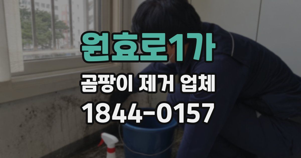 원효로1가 곰팡이 제거 업체