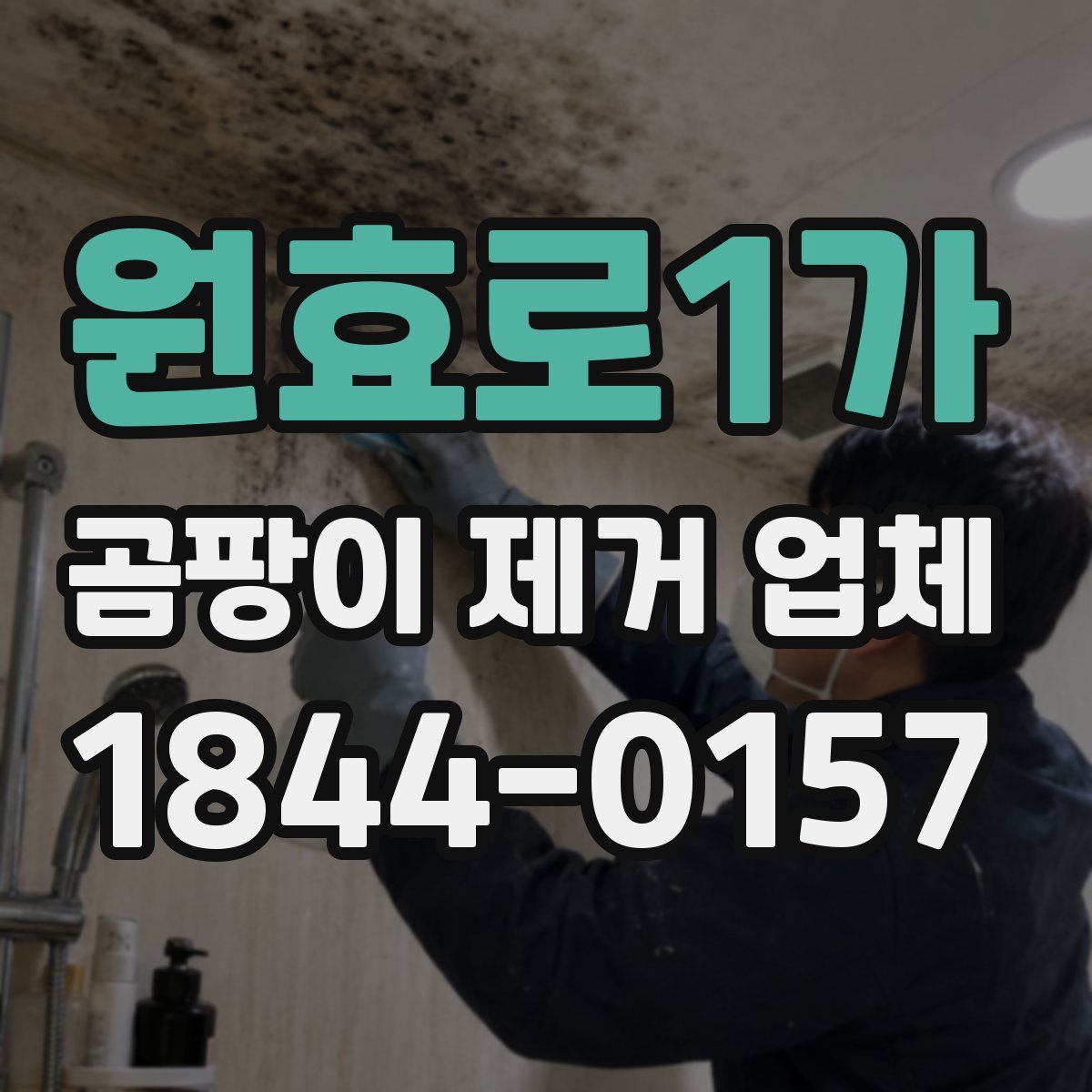 원효로1가 곰팡이 제거 업체