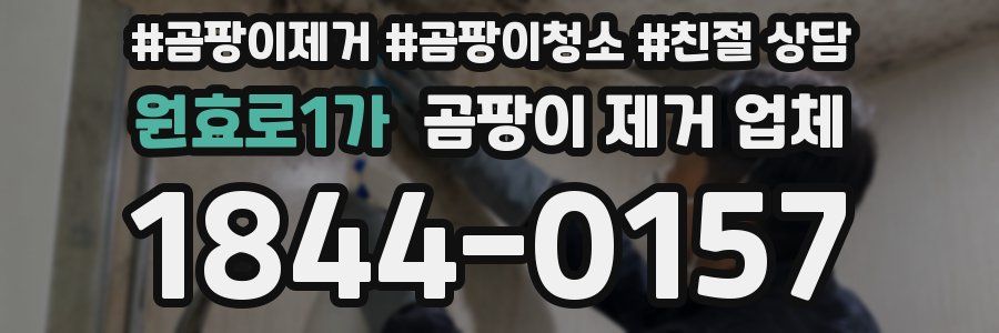 원효로1가 곰팡이 제거 업체