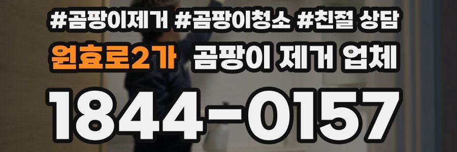 원효로2가 곰팡이 제거 업체