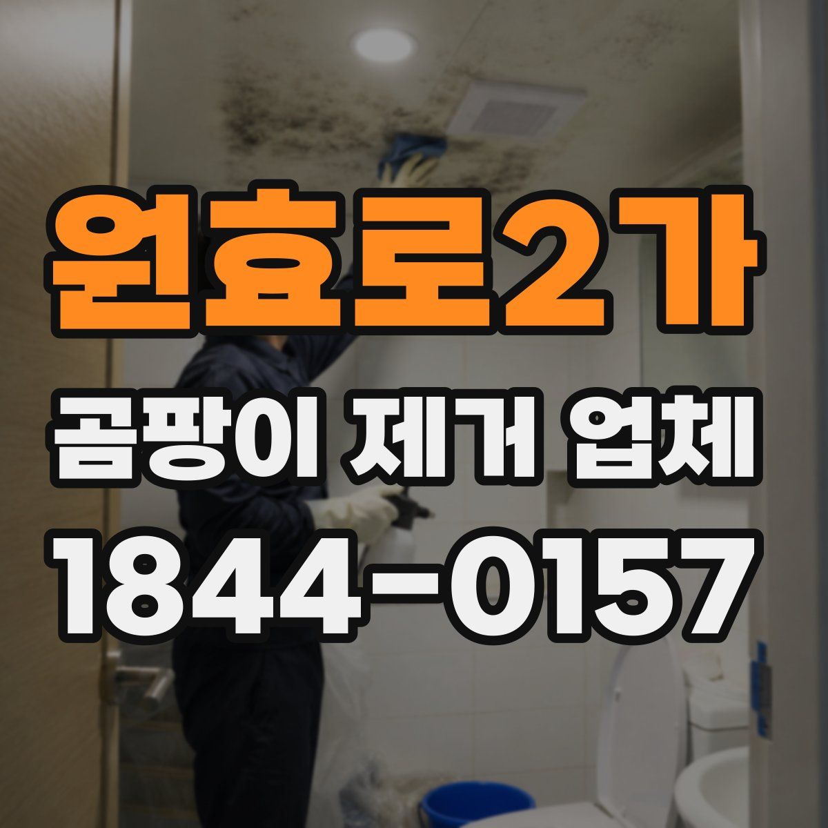 원효로2가 곰팡이 제거 업체