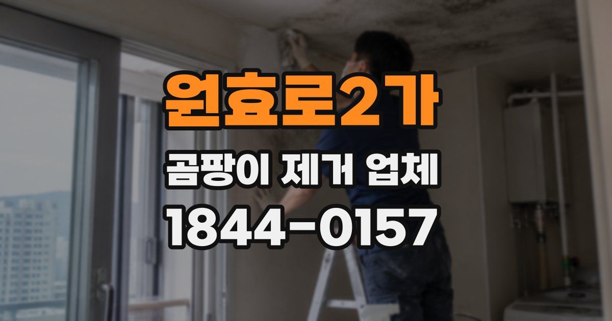 원효로2가 곰팡이 제거 업체