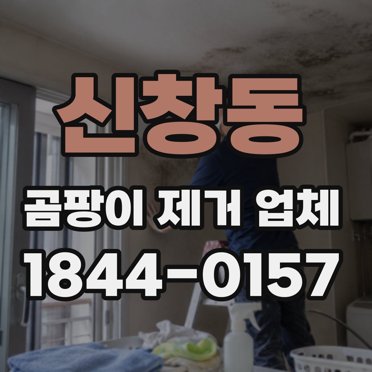 신창동 곰팡이 제거 업체