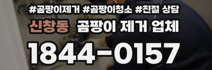 신창동 곰팡이 제거 업체