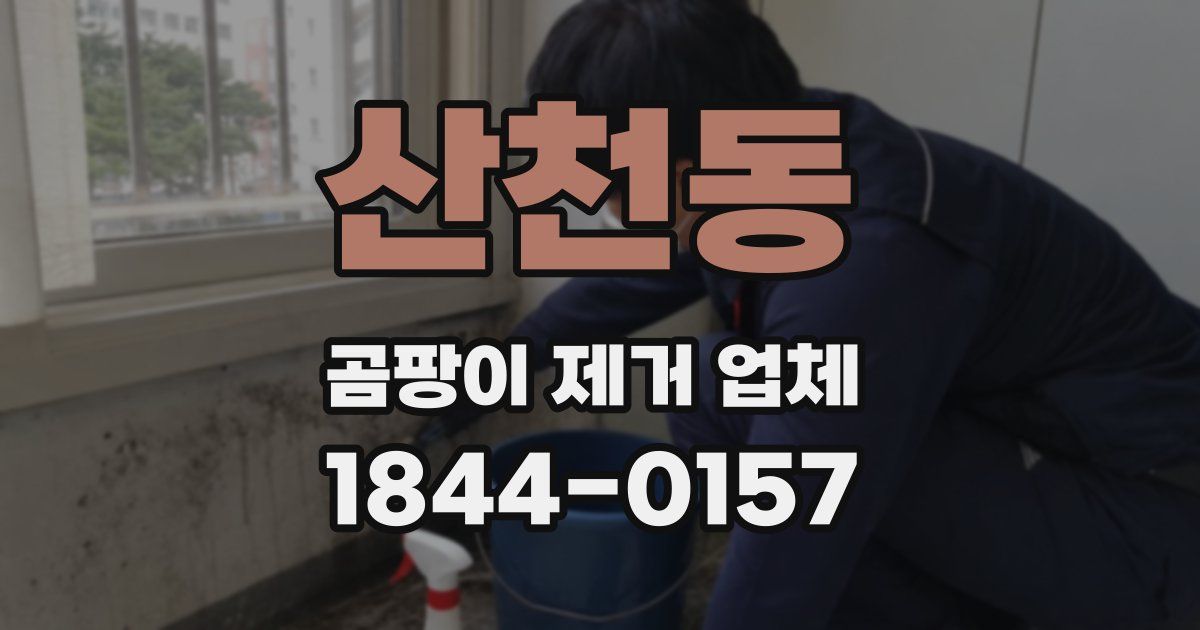 산천동 곰팡이 제거 업체
