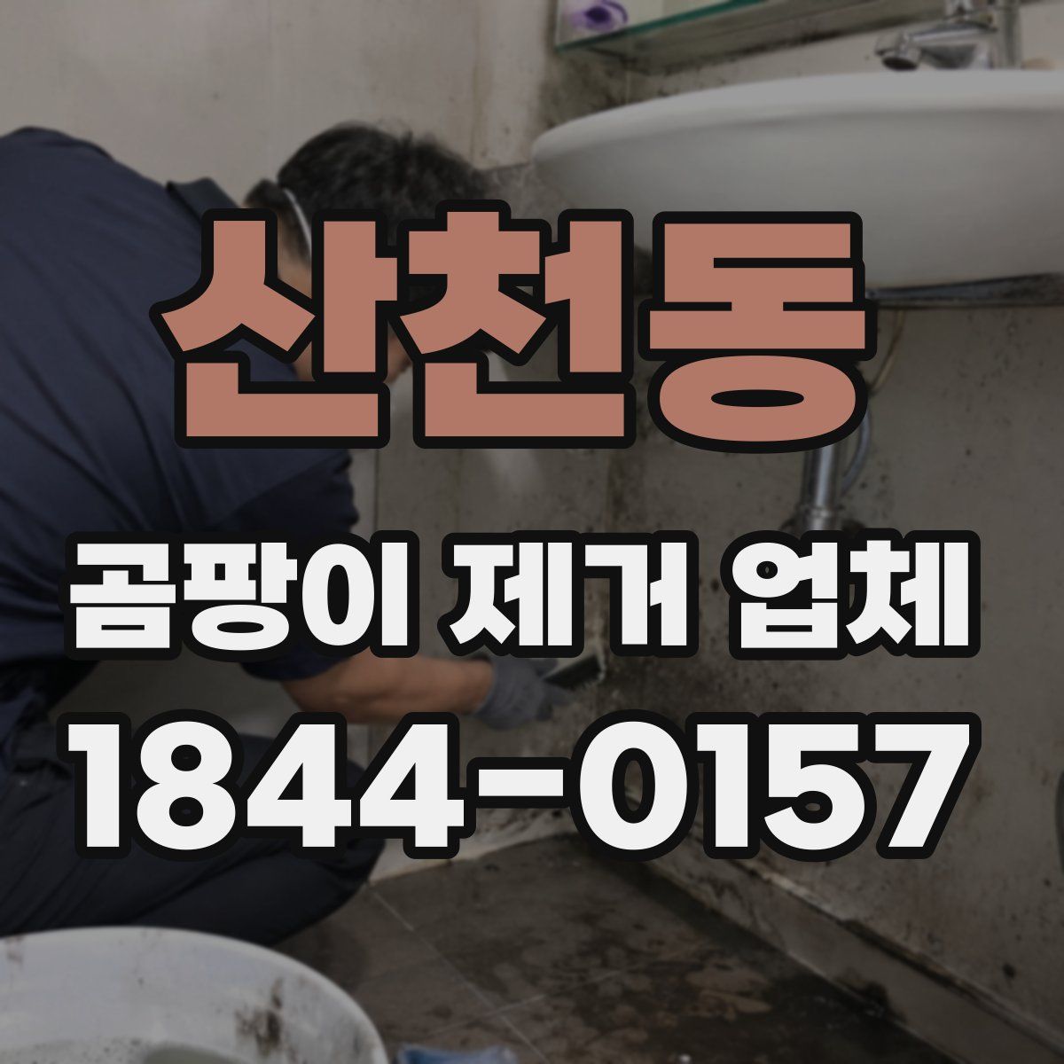 산천동 곰팡이 제거 업체