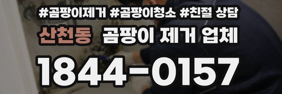 산천동 곰팡이 제거 업체