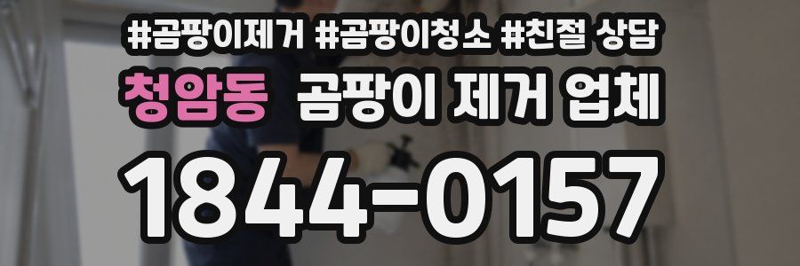 청암동 곰팡이 제거 업체