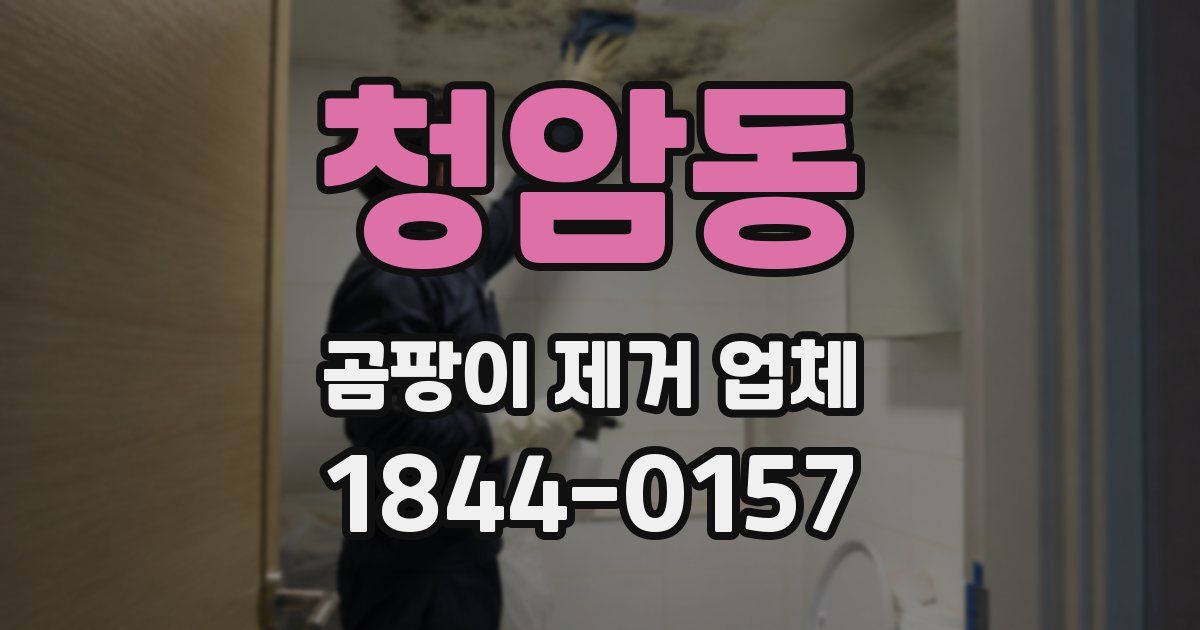 청암동 곰팡이 제거 업체