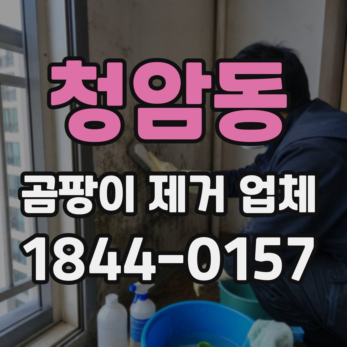 청암동 곰팡이 제거 업체