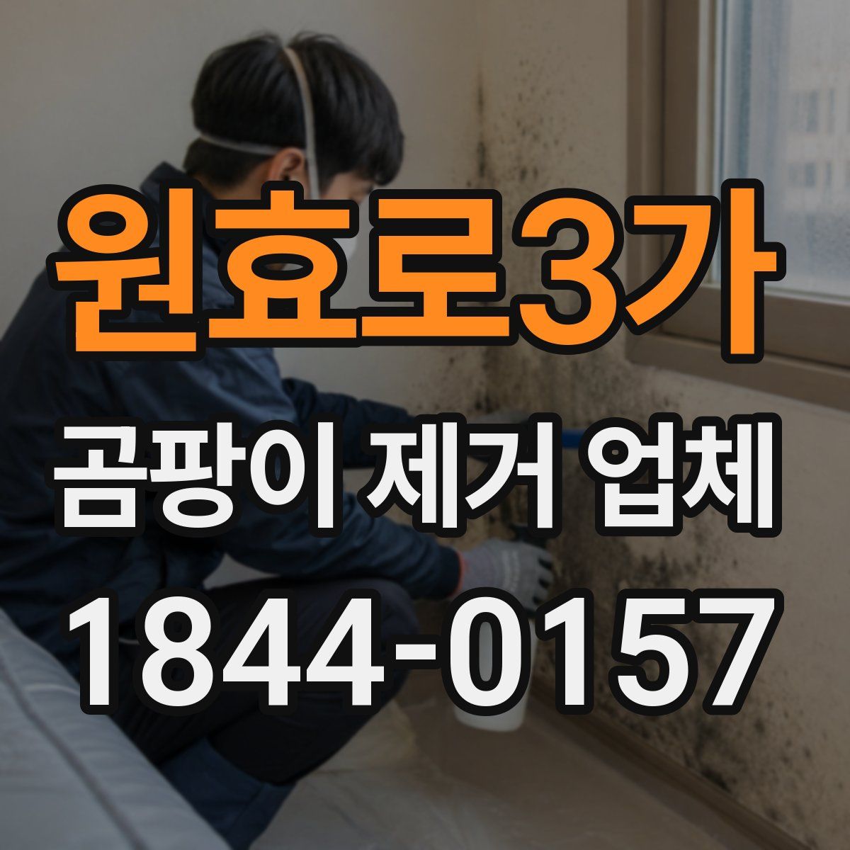원효로3가 곰팡이 제거 업체