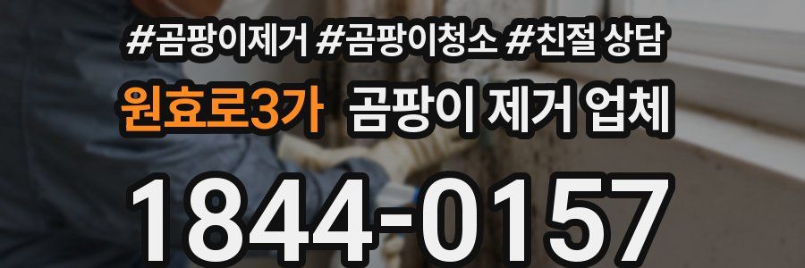 원효로3가 곰팡이 제거 업체