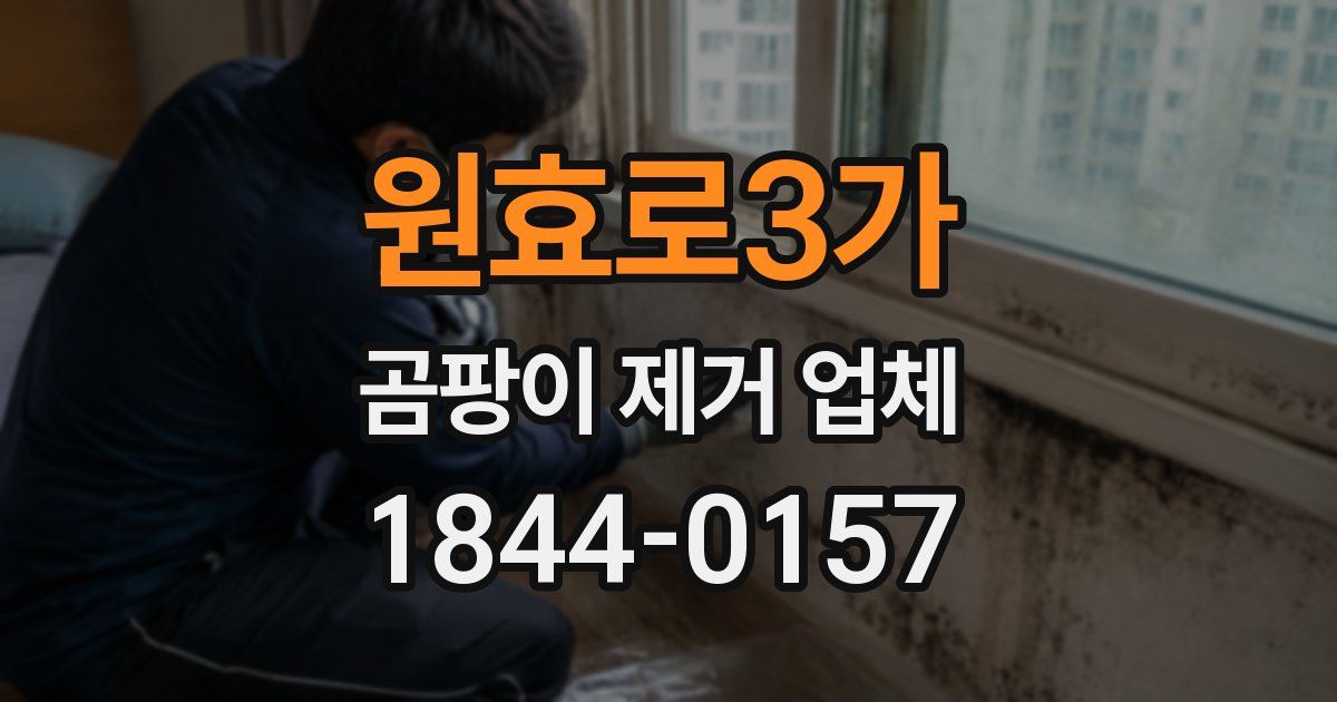원효로3가 곰팡이 제거 업체