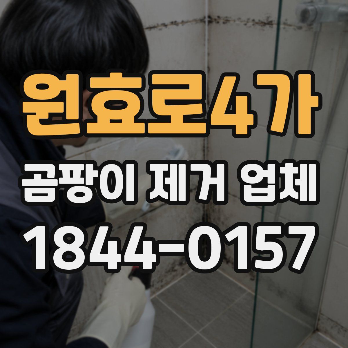 원효로4가 곰팡이 제거 업체