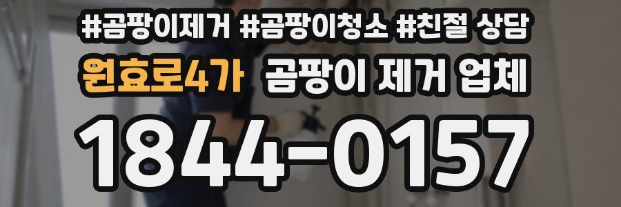 원효로4가 곰팡이 제거 업체