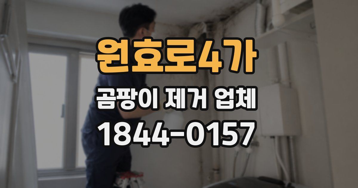원효로4가 곰팡이 제거 업체