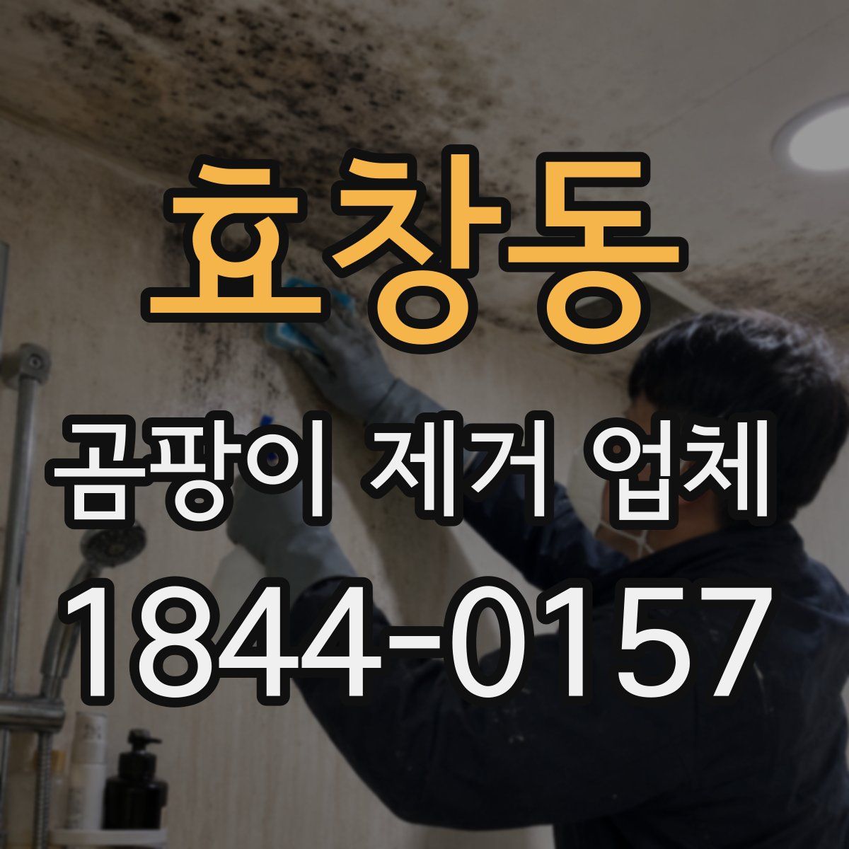 효창동 곰팡이 제거 업체