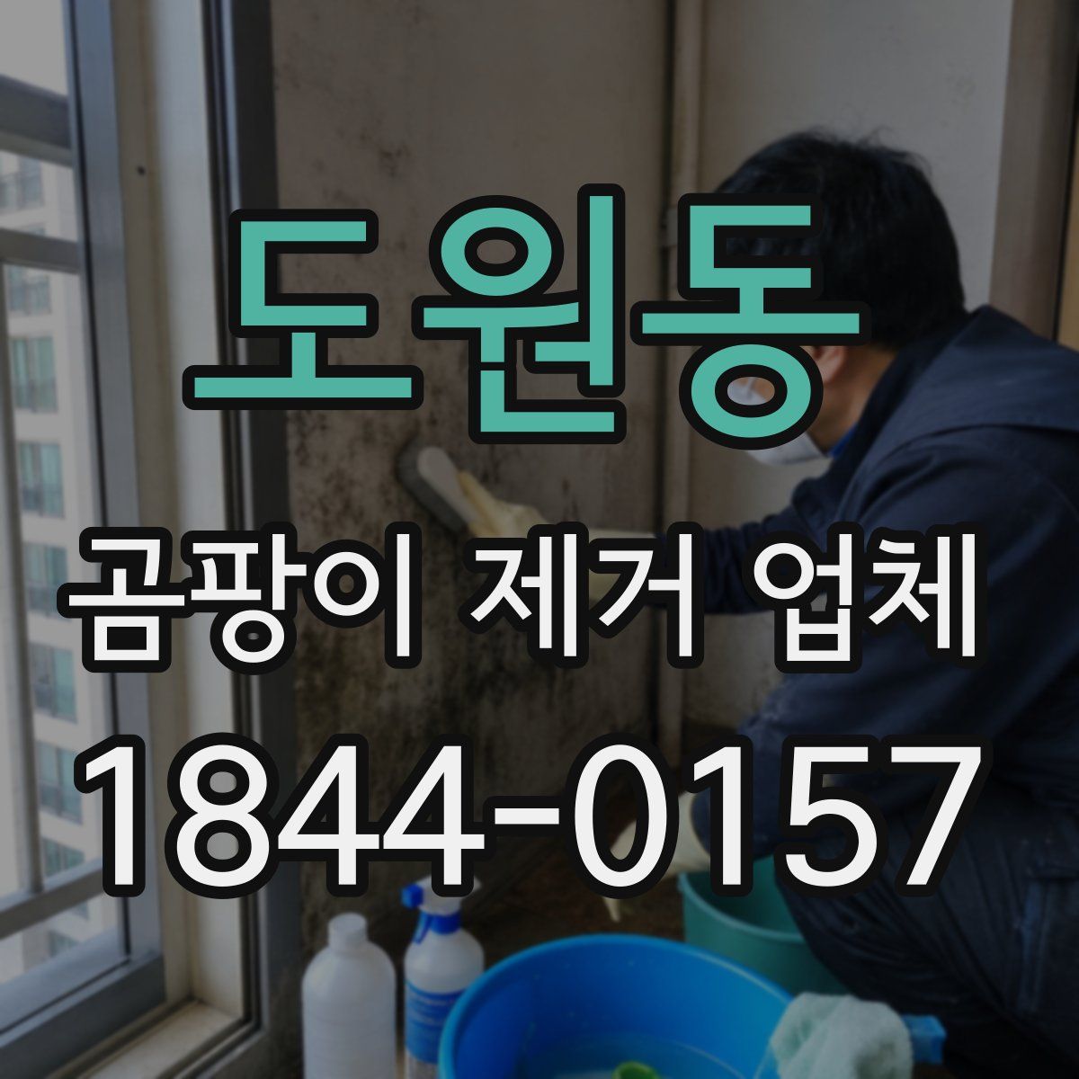도원동 곰팡이 제거 업체