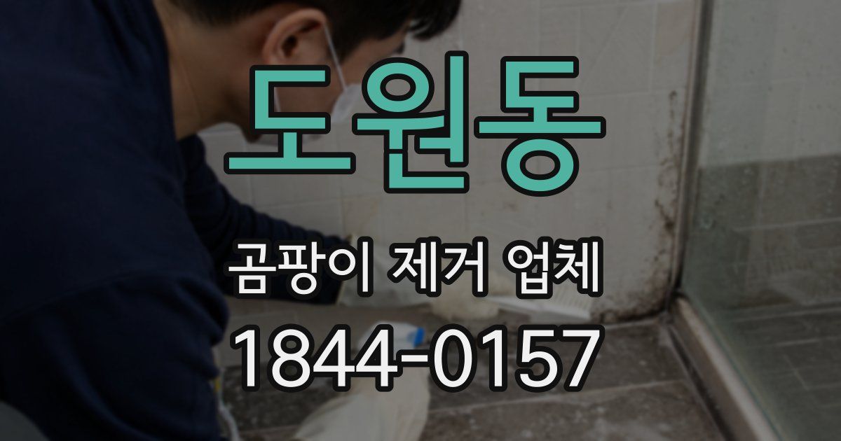 도원동 곰팡이 제거 업체