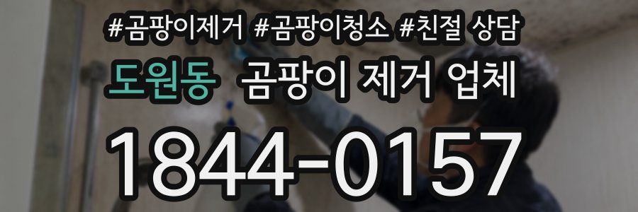 도원동 곰팡이 제거 업체