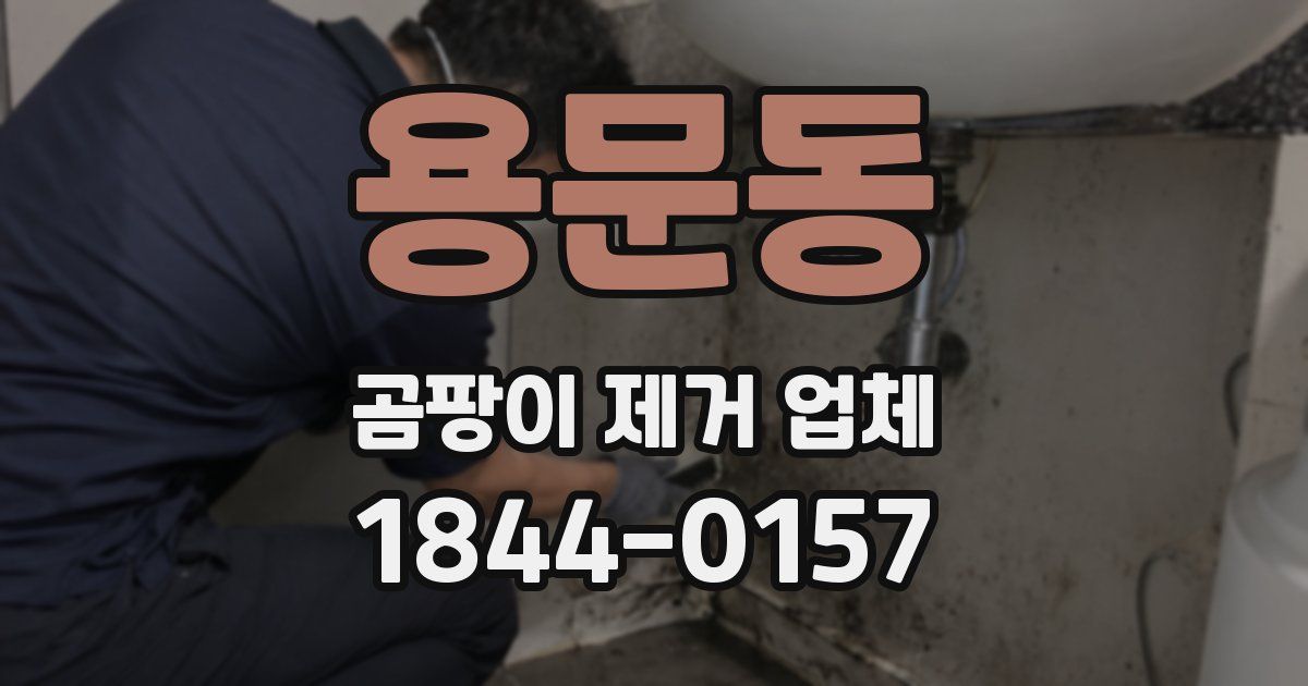 용문동 곰팡이 제거 업체