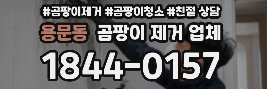 용문동 곰팡이 제거 업체