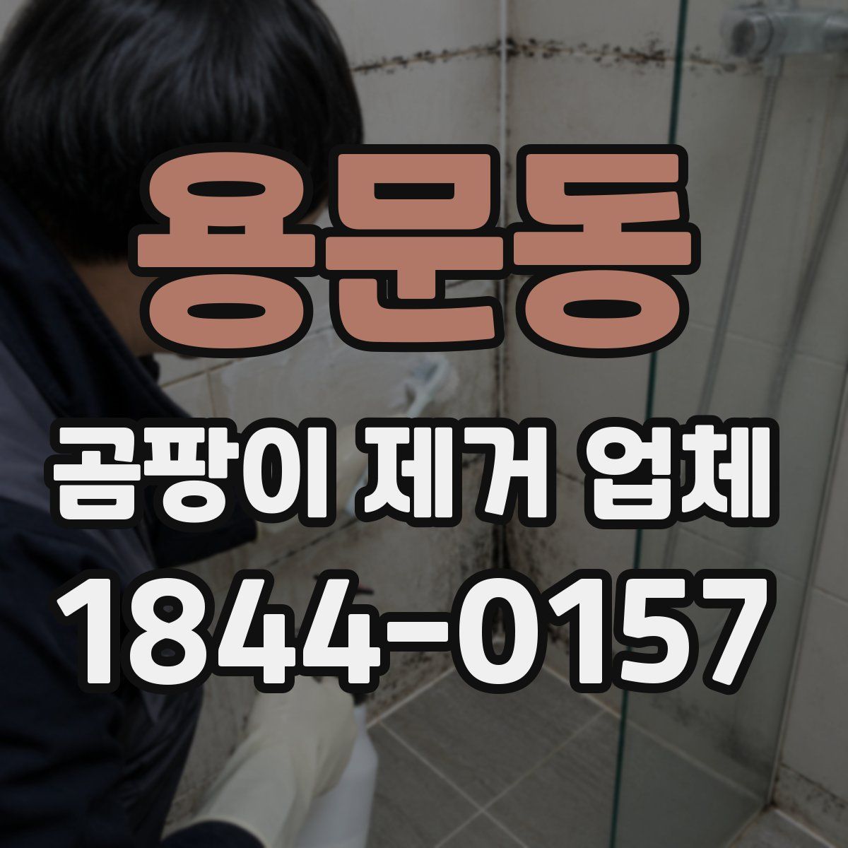 용문동 곰팡이 제거 업체