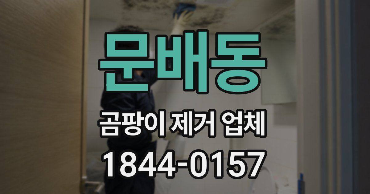 문배동 곰팡이 제거 업체