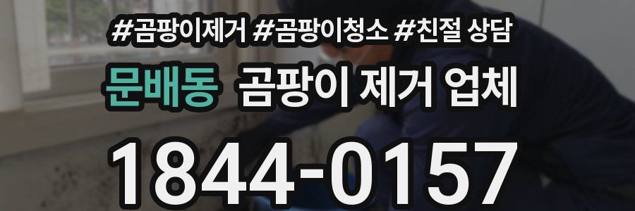문배동 곰팡이 제거 업체