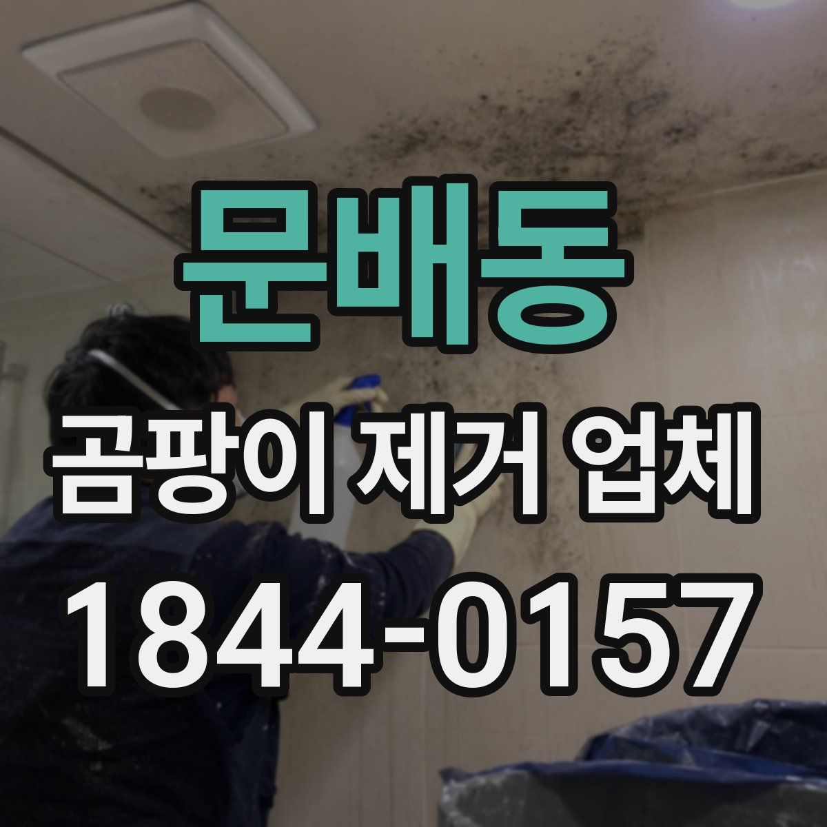 문배동 곰팡이 제거 업체