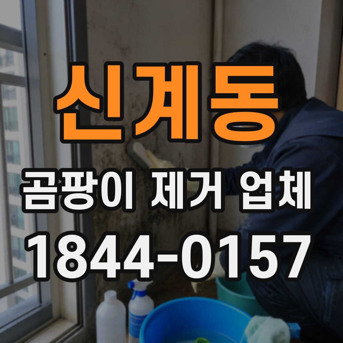 신계동 곰팡이 제거 업체