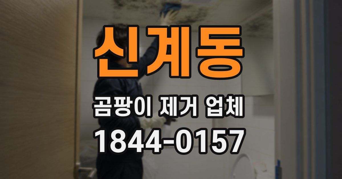 신계동 곰팡이 제거 업체