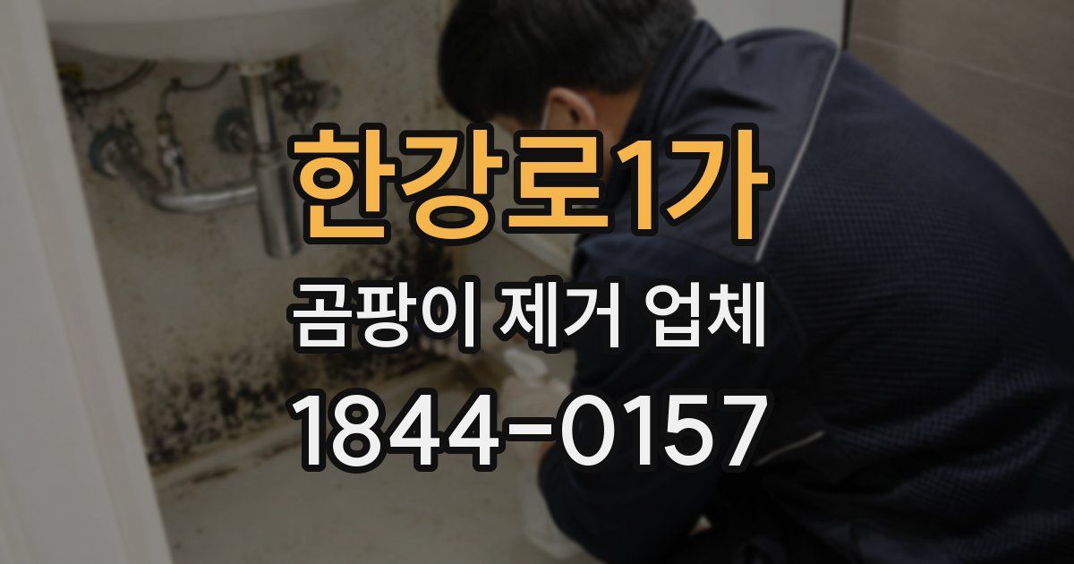한강로1가 곰팡이 제거 업체