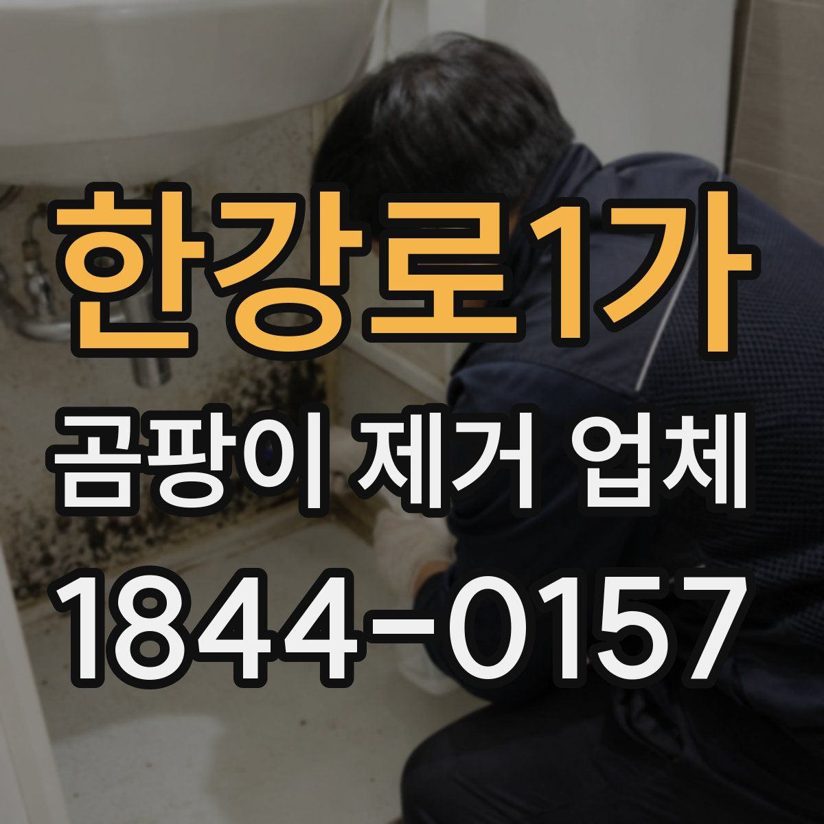 한강로1가 곰팡이 제거 업체