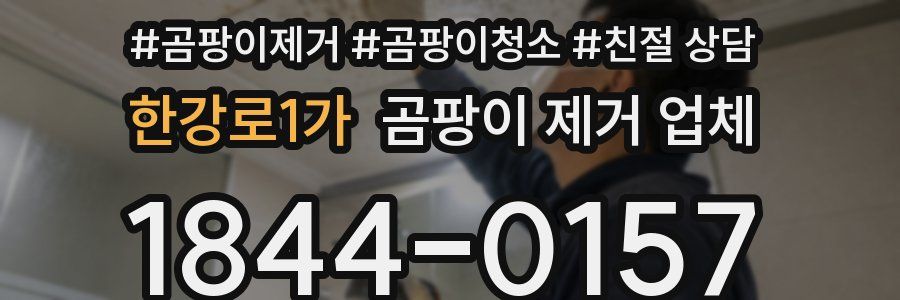 한강로1가 곰팡이 제거 업체