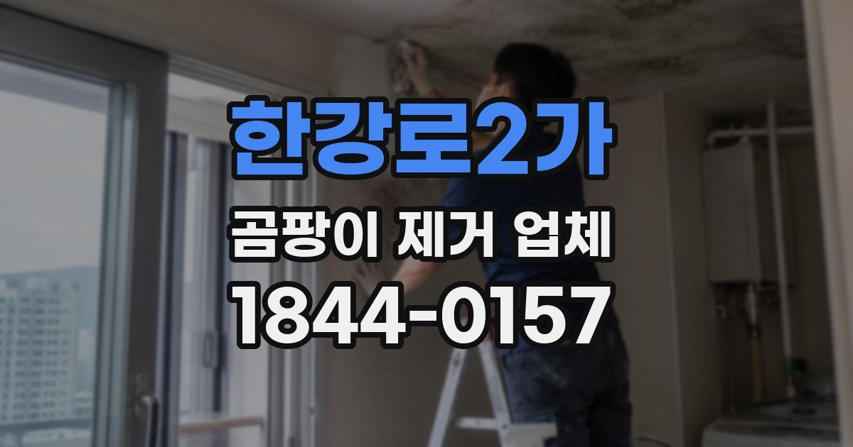한강로2가 곰팡이 제거 업체