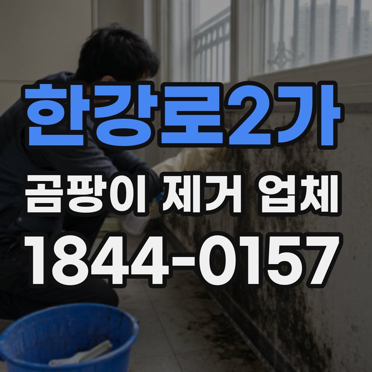 한강로2가 곰팡이 제거 업체
