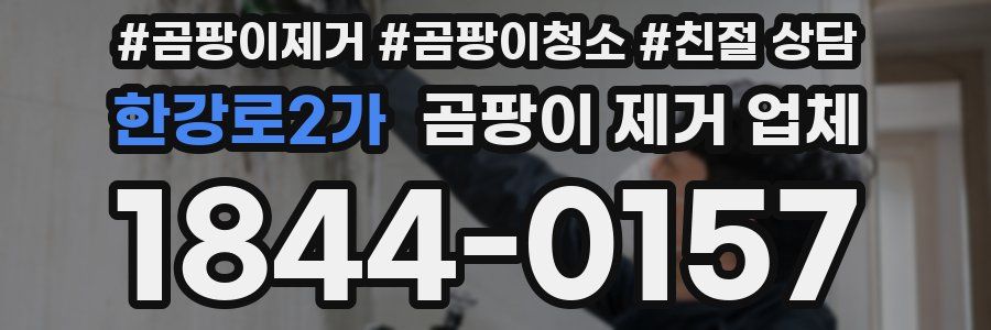 한강로2가 곰팡이 제거 업체