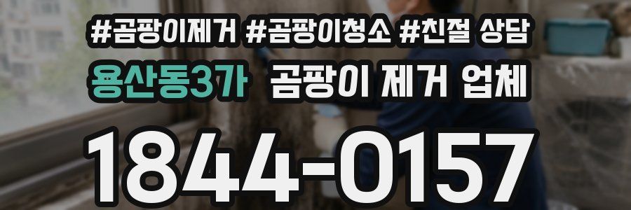용산동3가 곰팡이 제거 업체