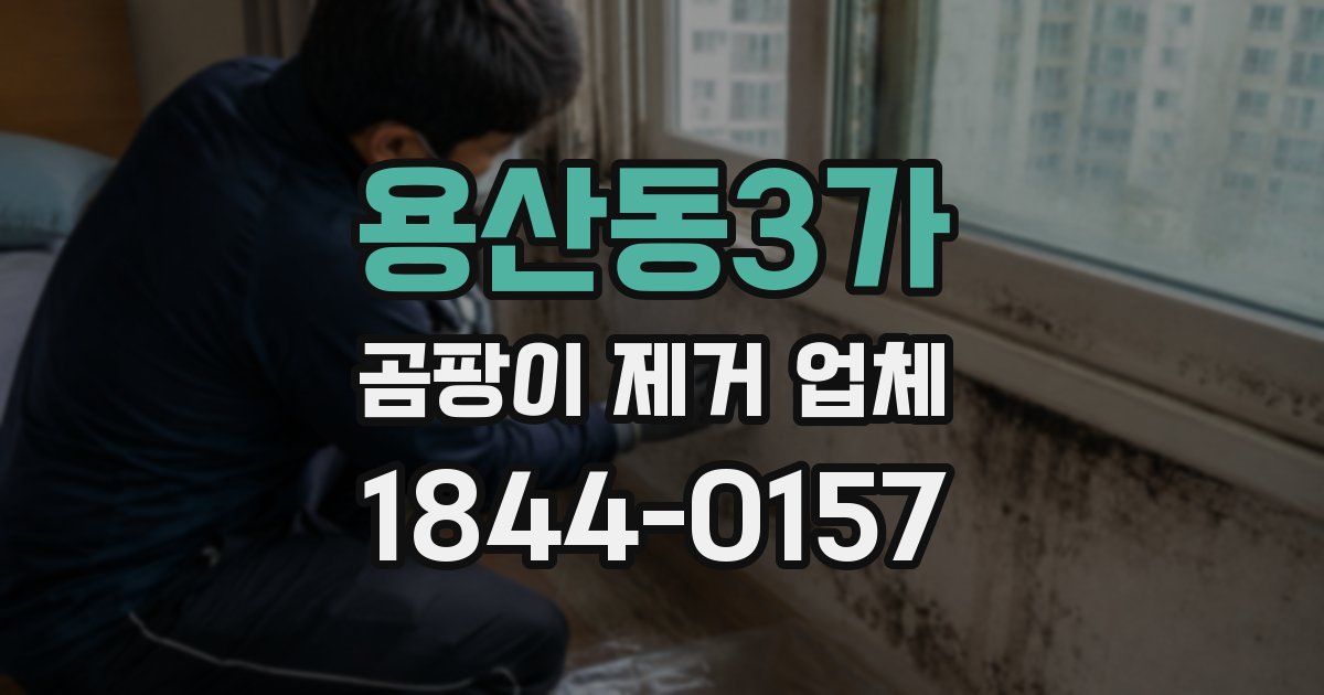 용산동3가 곰팡이 제거 업체