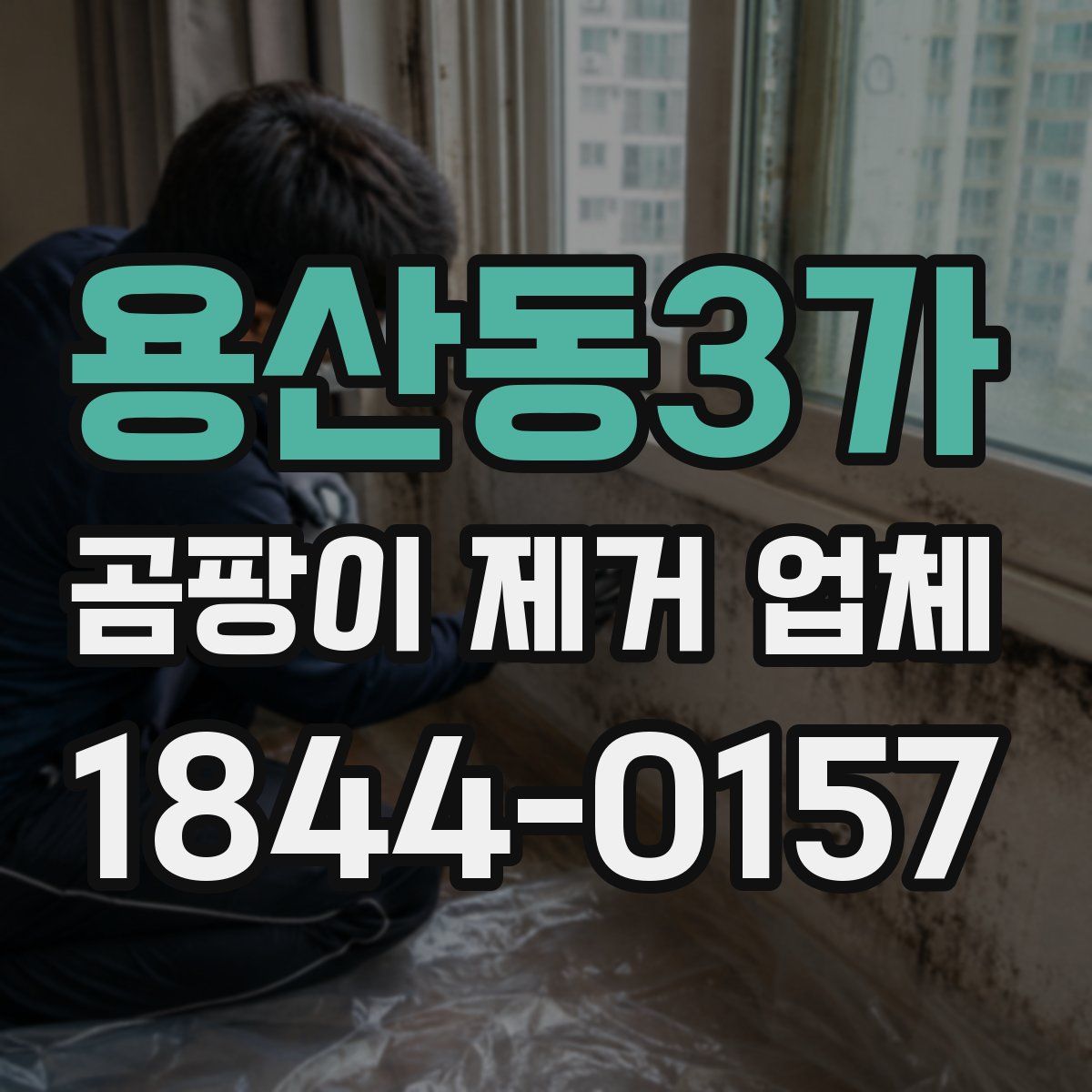 용산동3가 곰팡이 제거 업체