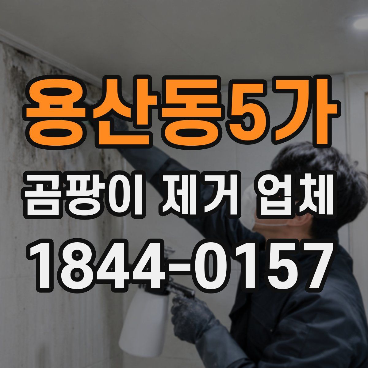 용산동5가 곰팡이 제거 업체