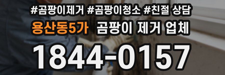 용산동5가 곰팡이 제거 업체