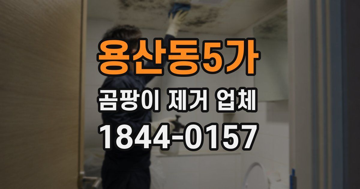 용산동5가 곰팡이 제거 업체