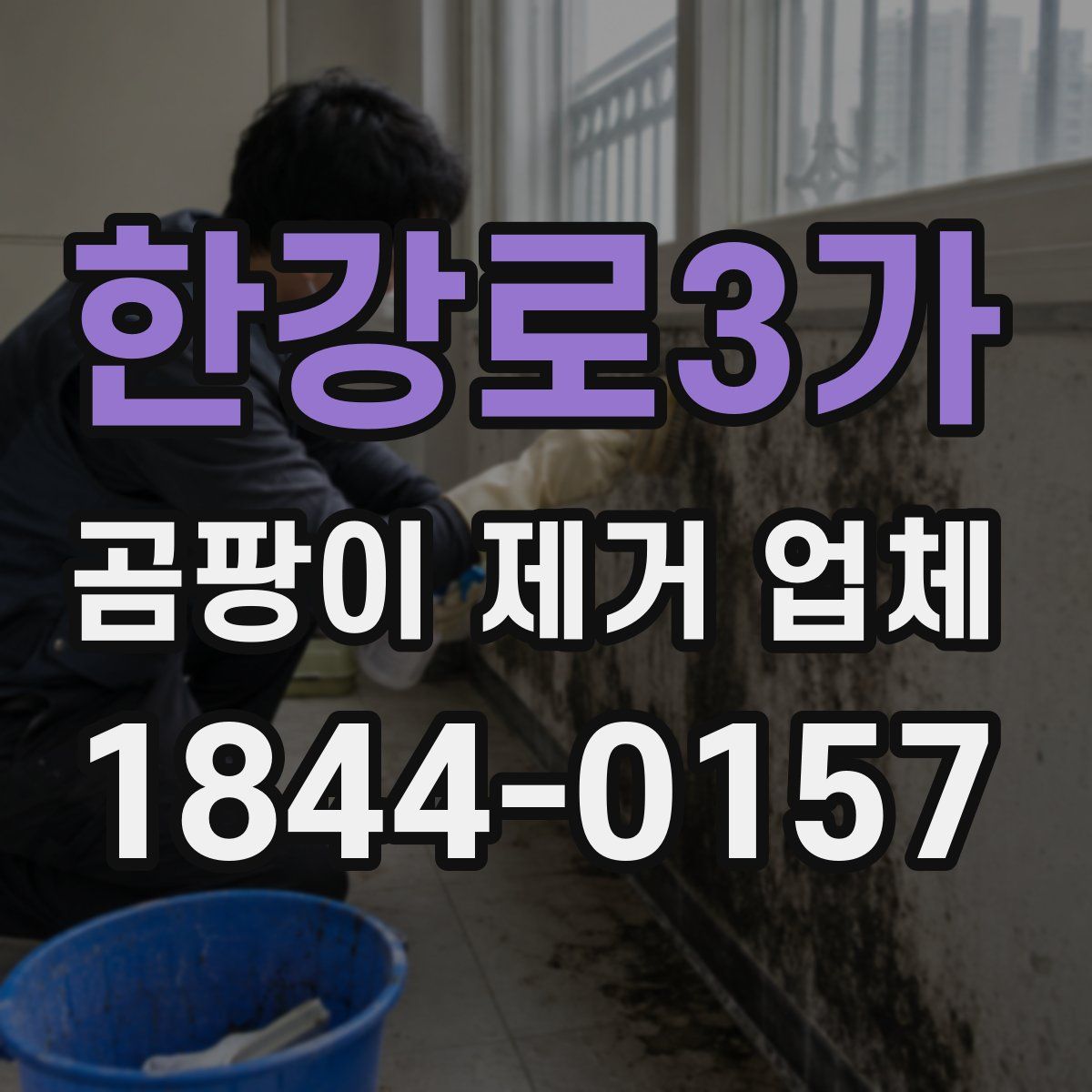 한강로3가 곰팡이 제거 업체
