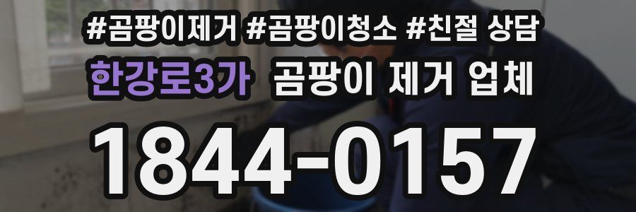 한강로3가 곰팡이 제거 업체